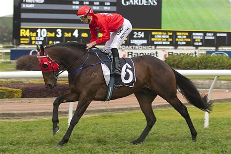 Redzel Horse Form, Redzel Next Race Odds & Redzel Racing.
